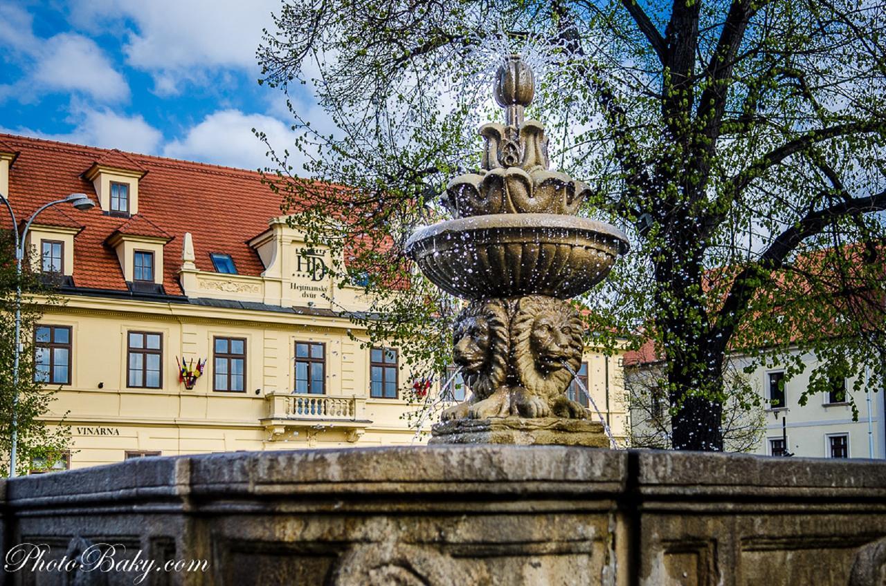 Hejtmansky Dvur Hotel Slaný Екстериор снимка